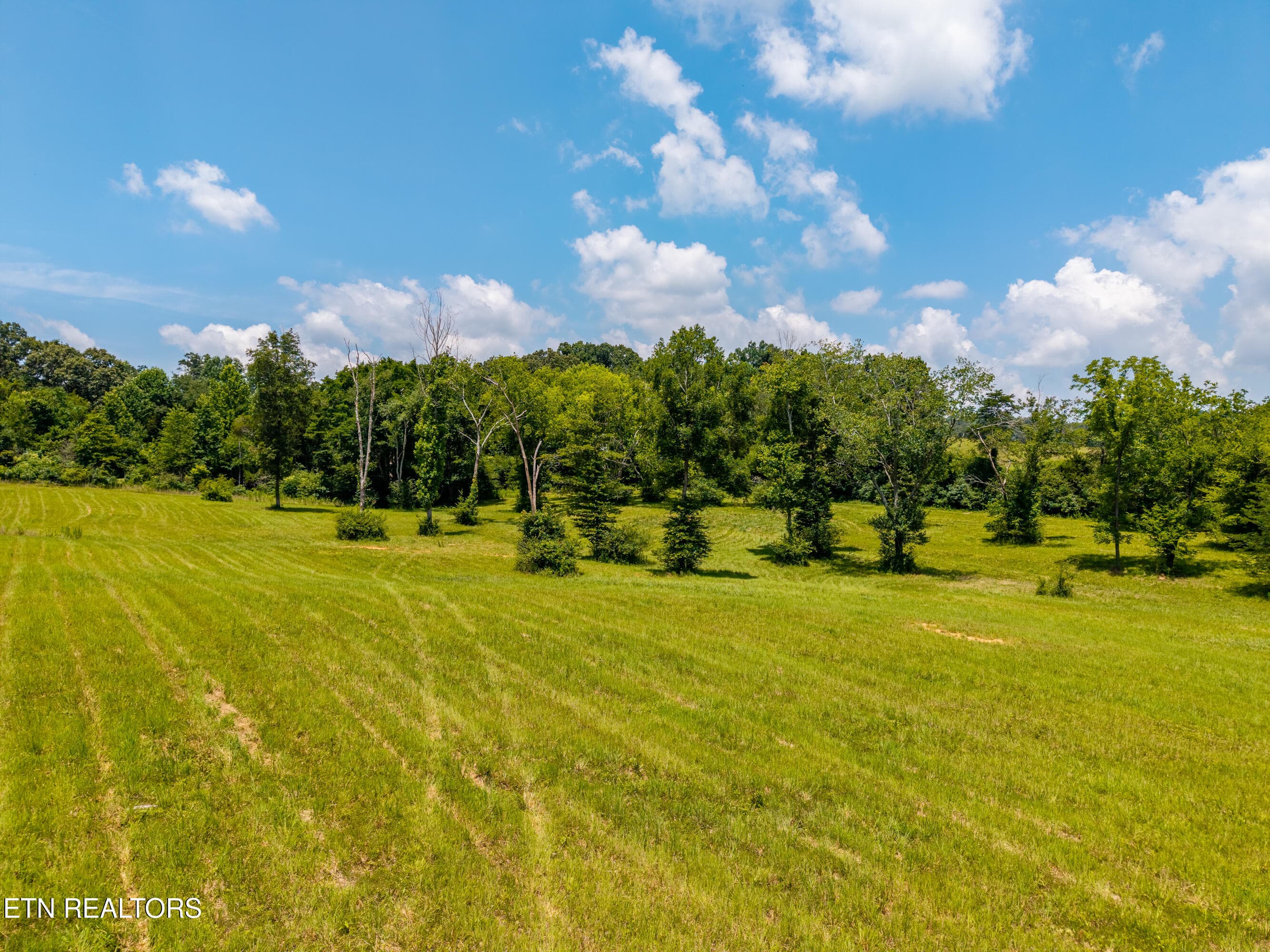 145WaldenGroverd-7 - 145 Walden Grove Rd, Sweetwater, TN 37874