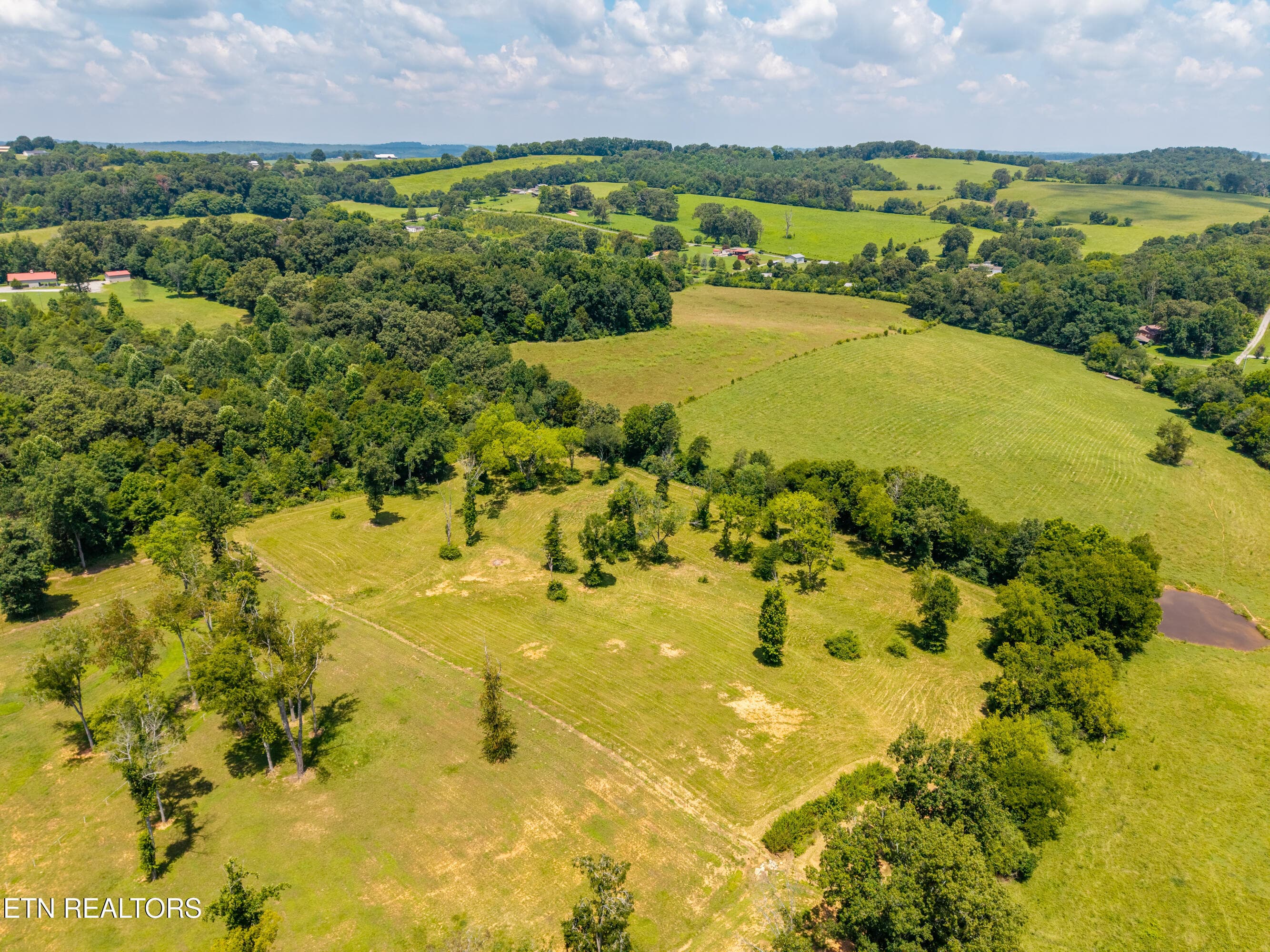 145WaldenGroverd-9 - 145 Walden Grove Rd, Sweetwater, TN 37874