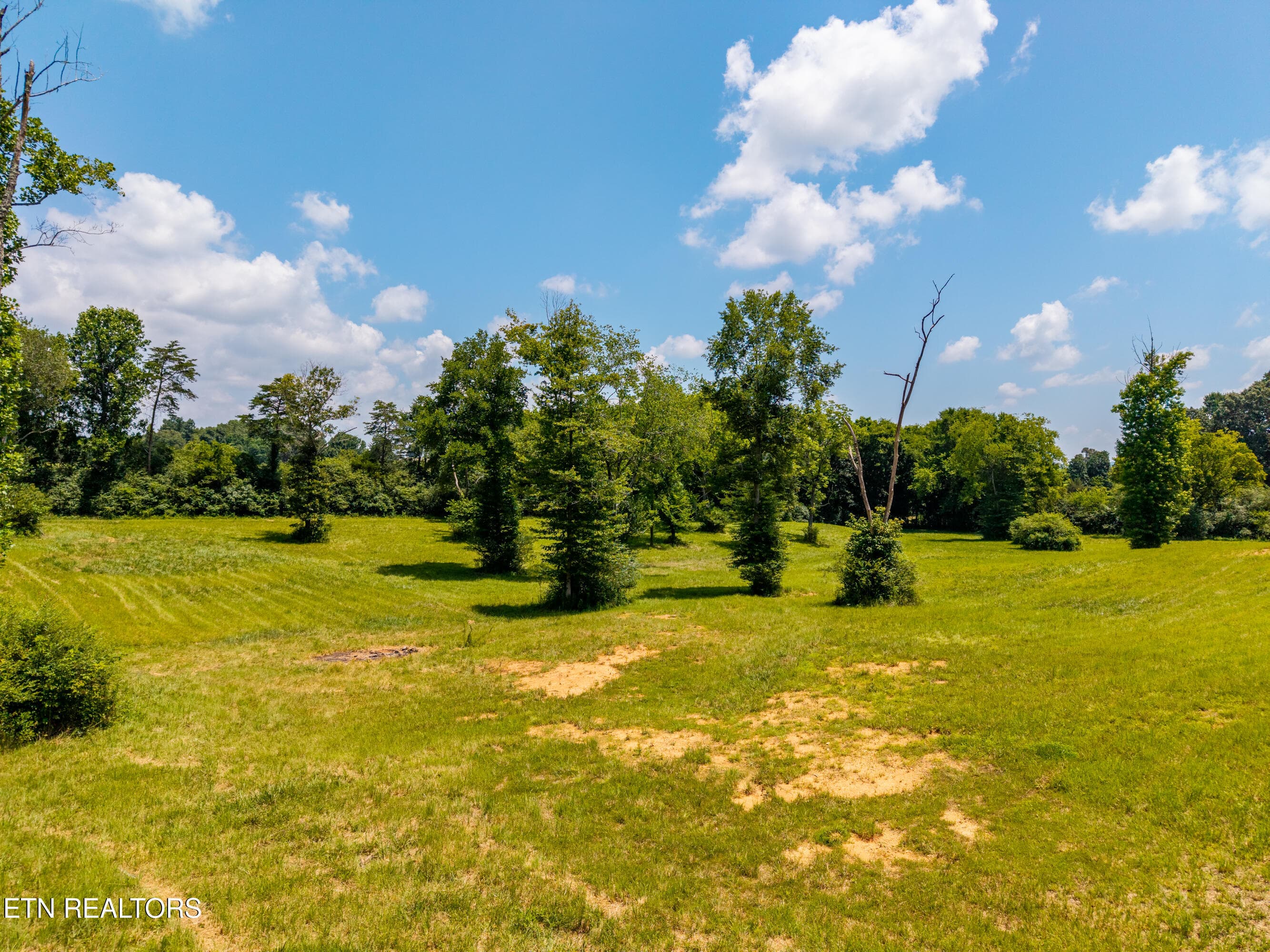 145WaldenGroverd-6 - 145 Walden Grove Rd, Sweetwater, TN 37874