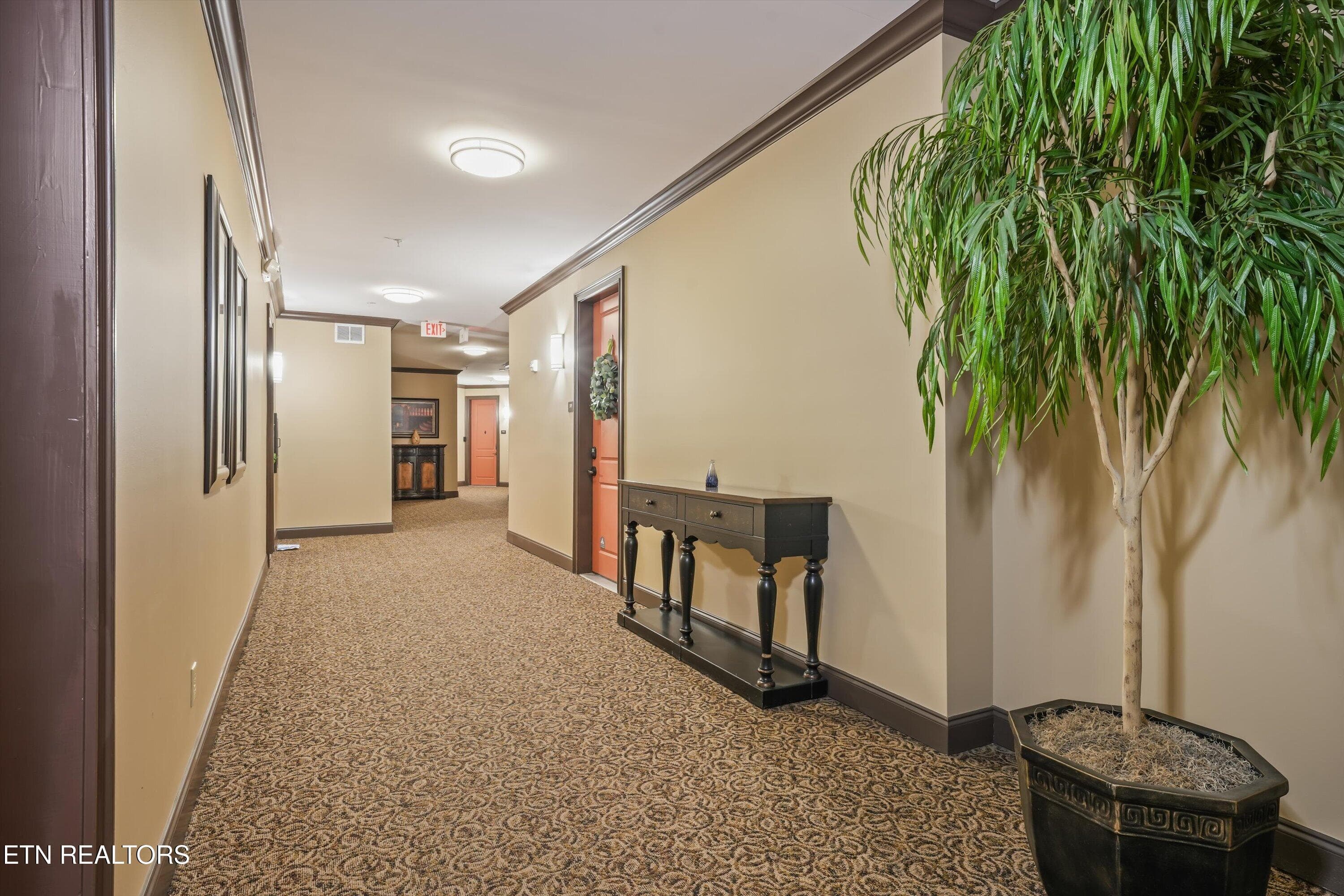 29-445 W Blount Ave 308 29 - 445 W Blount Ave 308, Knoxville, TN 37920, Knoxville