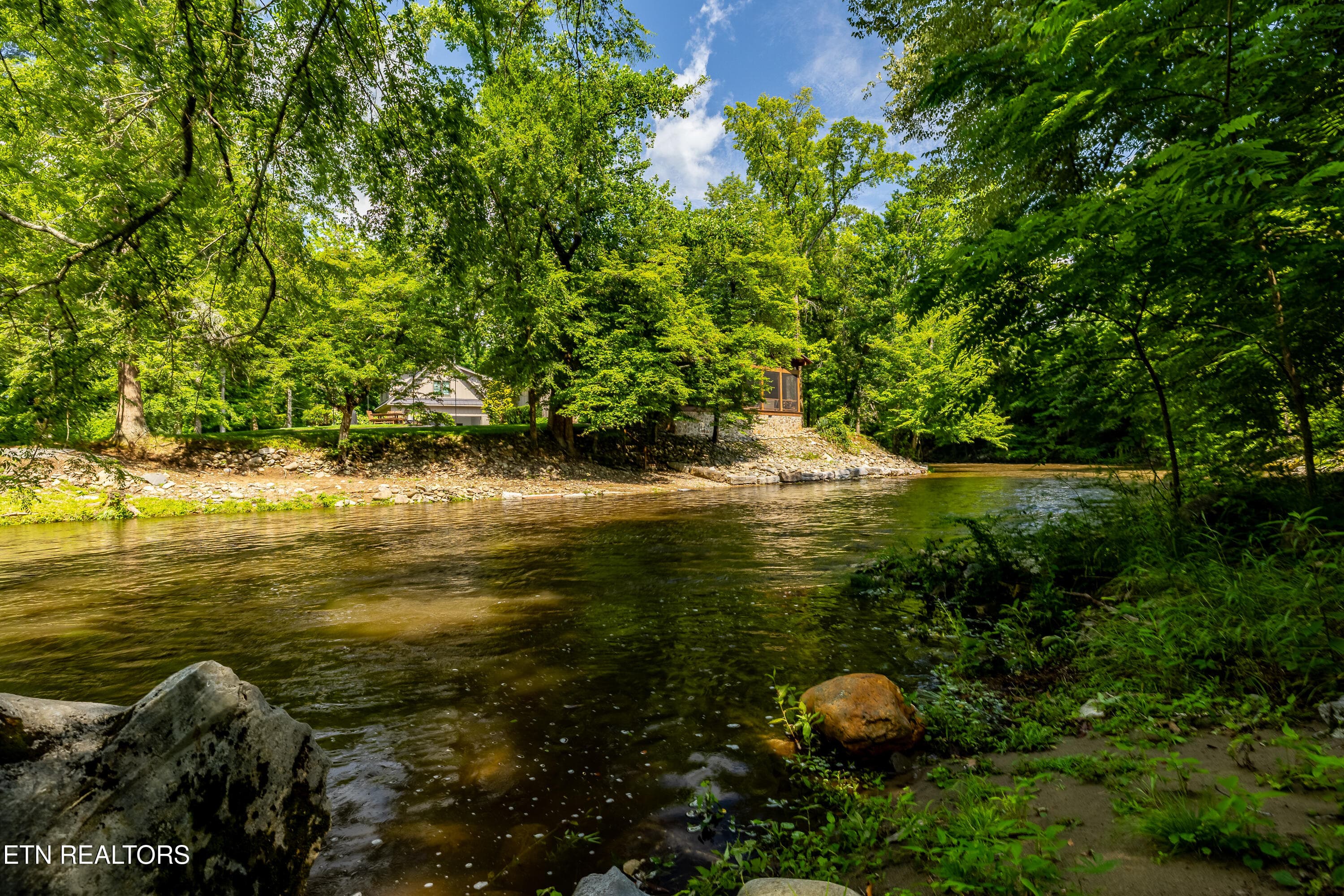 8229ELamarAlexanderPkwy-11 - 8229 E Lamar Alexander Parkway Pkwy, Townsend, TN 37882
