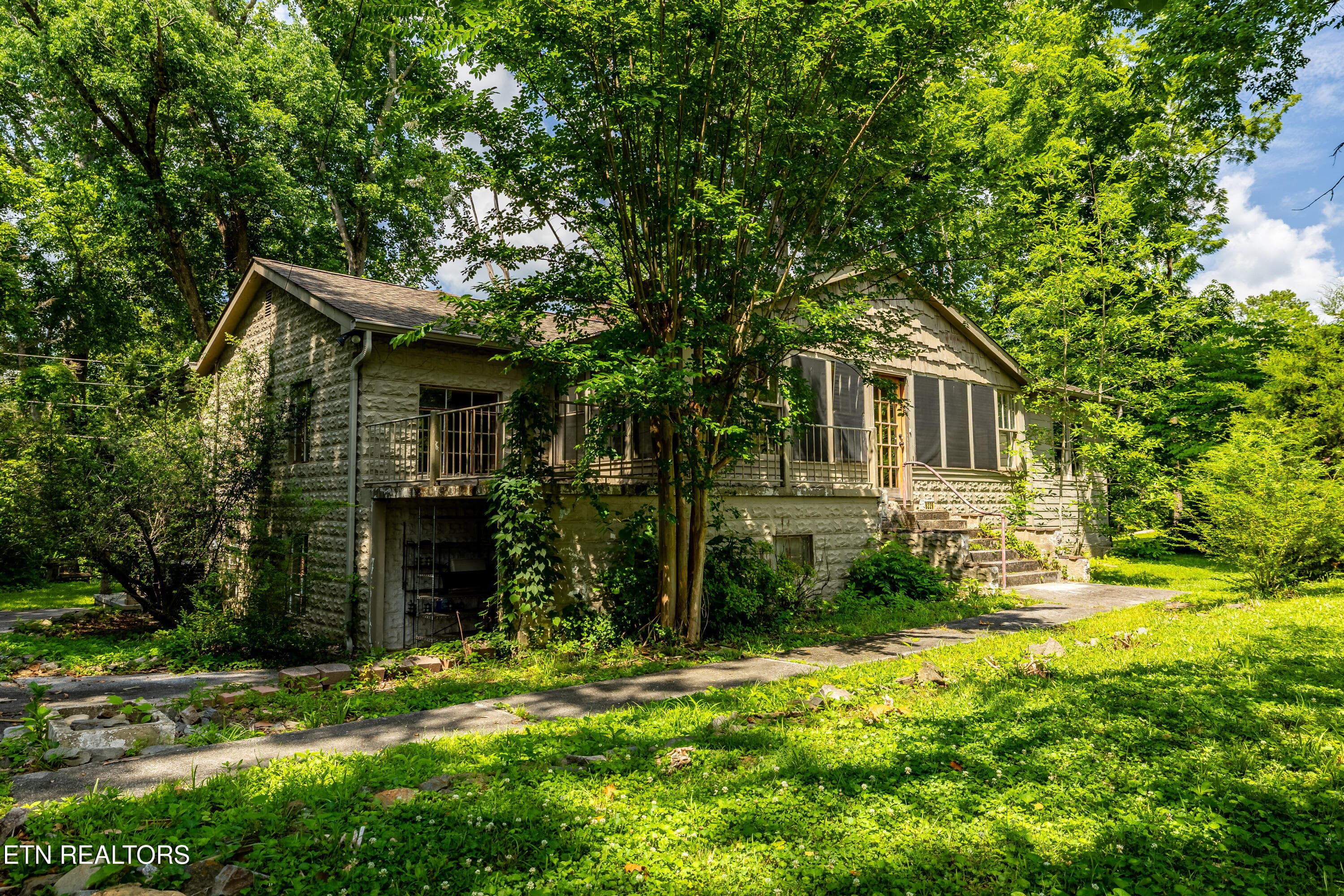 8229ELamarAlexanderPkwy-17 - 8229 E Lamar Alexander Parkway Pkwy, Townsend, TN 37882