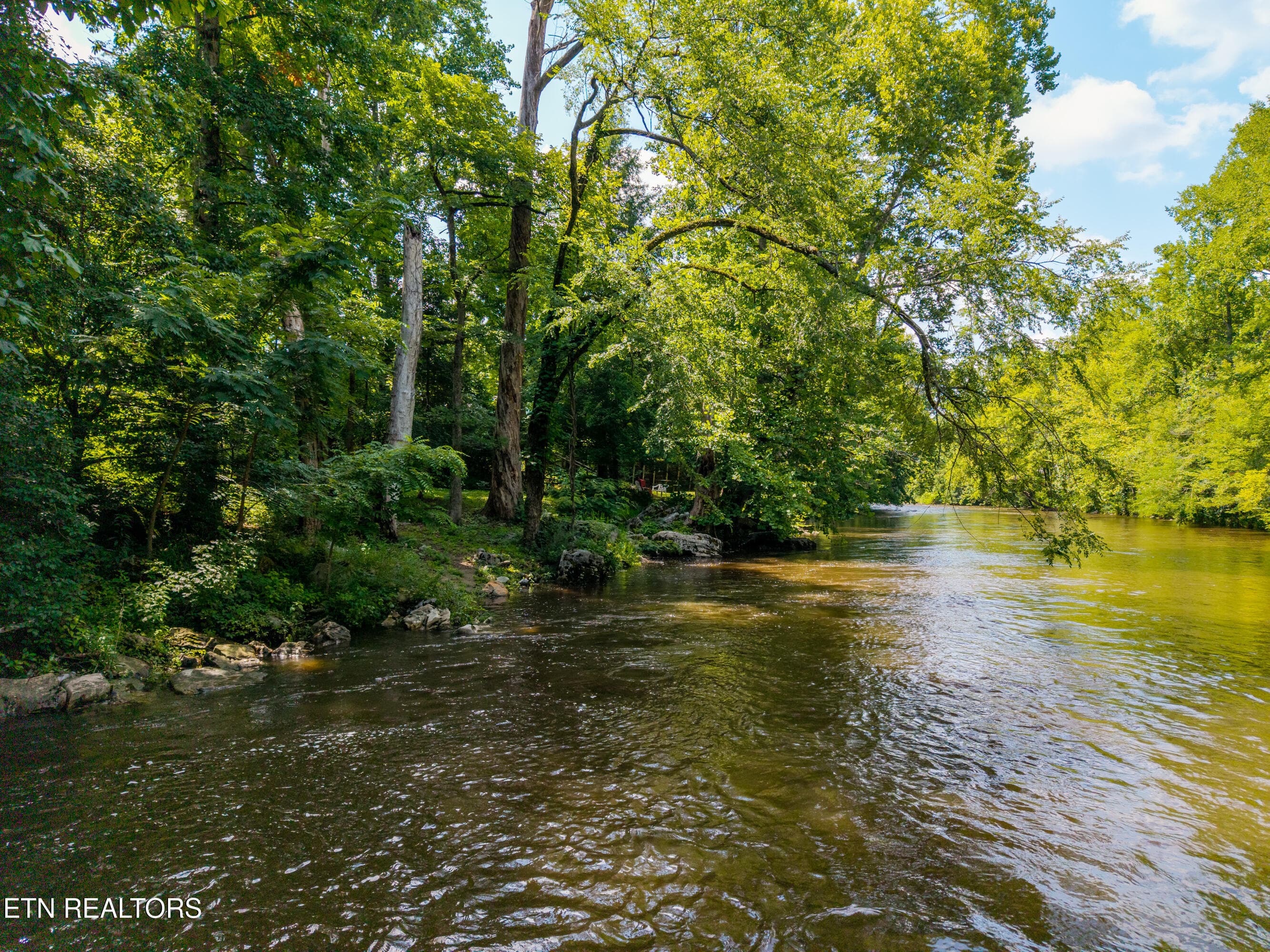 8229ELamarAlexanderPkwy-39 - 8229 E Lamar Alexander Parkway Pkwy, Townsend, TN 37882