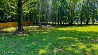 IMG_3127 - 2315 Pine Grove Rd, Winfield, TN 37892