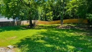 IMG_3129 - 2315 Pine Grove Rd, Winfield, TN 37892