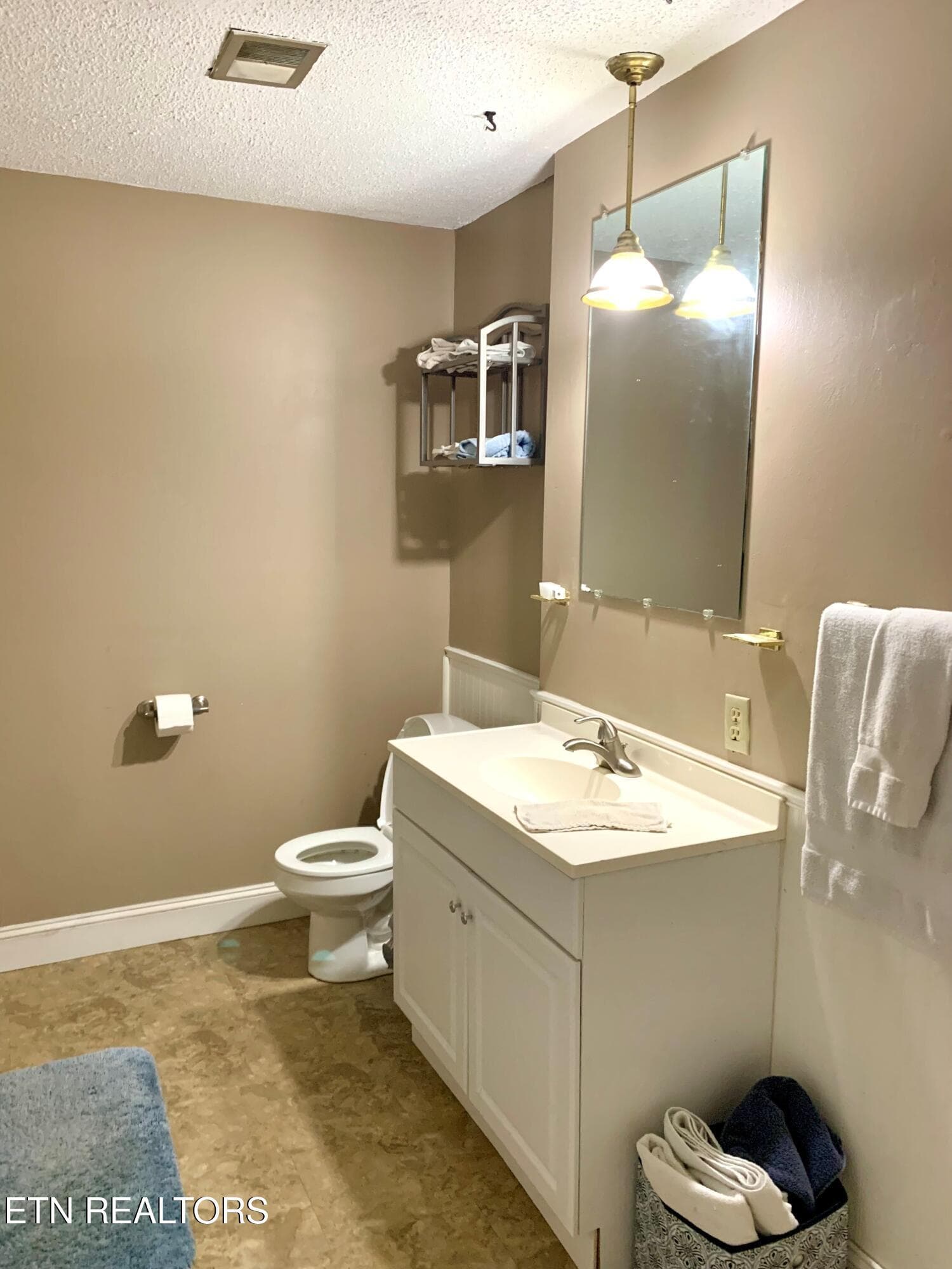 Bathroom Downstairs - 309 Allison St, New Tazewell, TN 37825