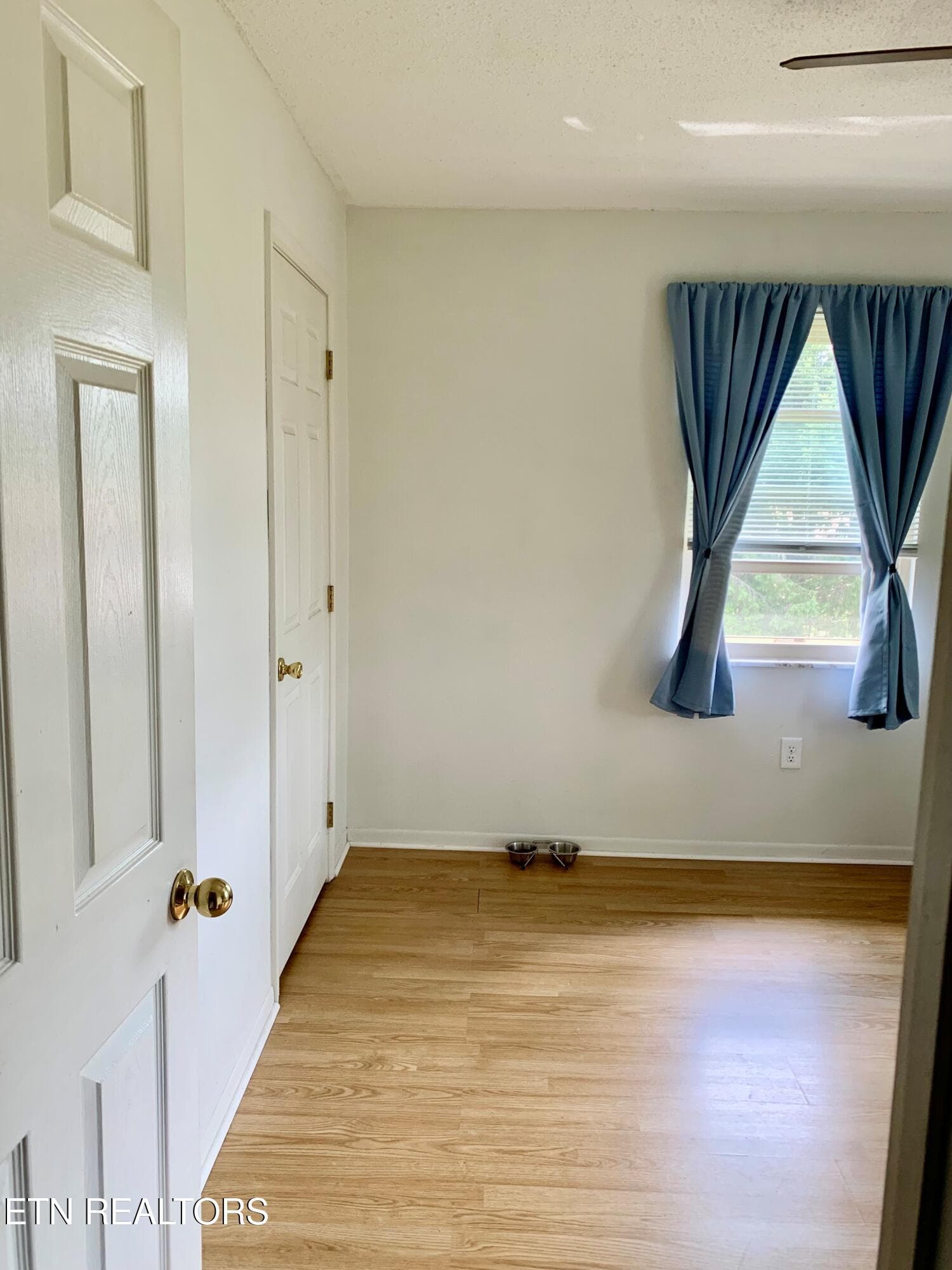 Bedroom 2 - 309 Allison St, New Tazewell, TN 37825