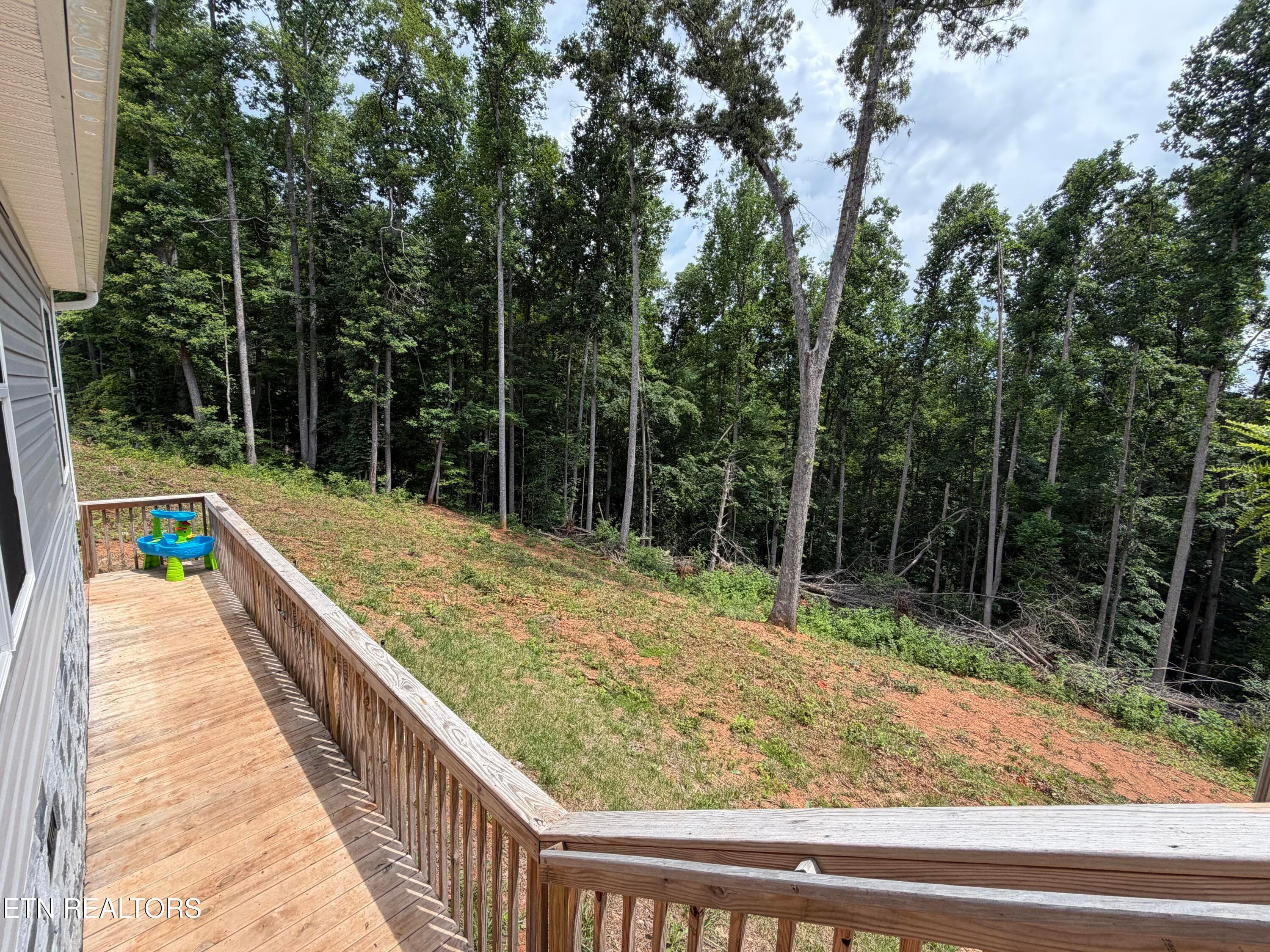 IMG_5100 - 8780 Highland View Rd, Knoxville, TN 37938