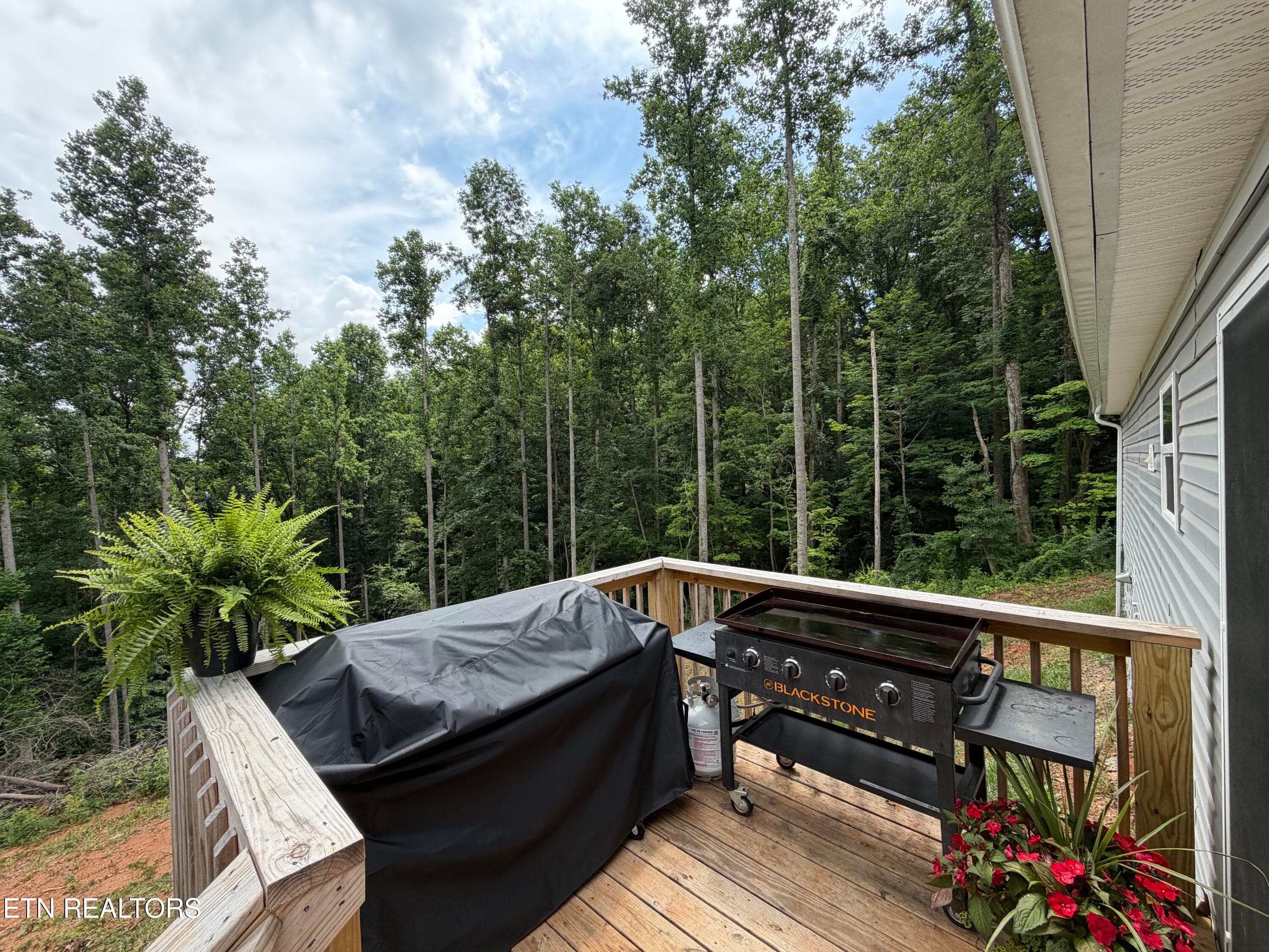 IMG_5103 - 8780 Highland View Rd, Knoxville, TN 37938