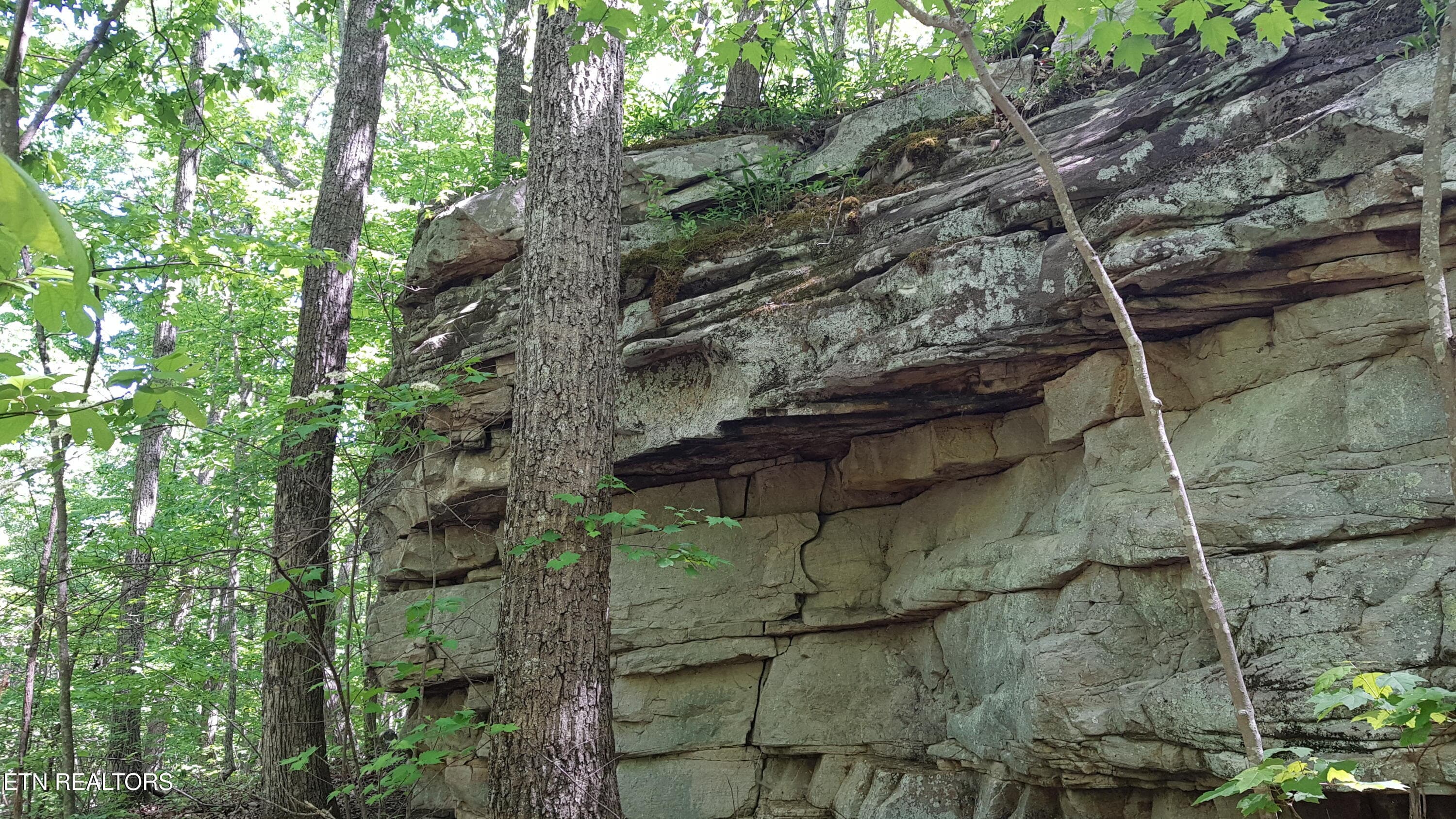 20260503_110518 - 751 W Bluff Rd, Pikeville, TN 37367