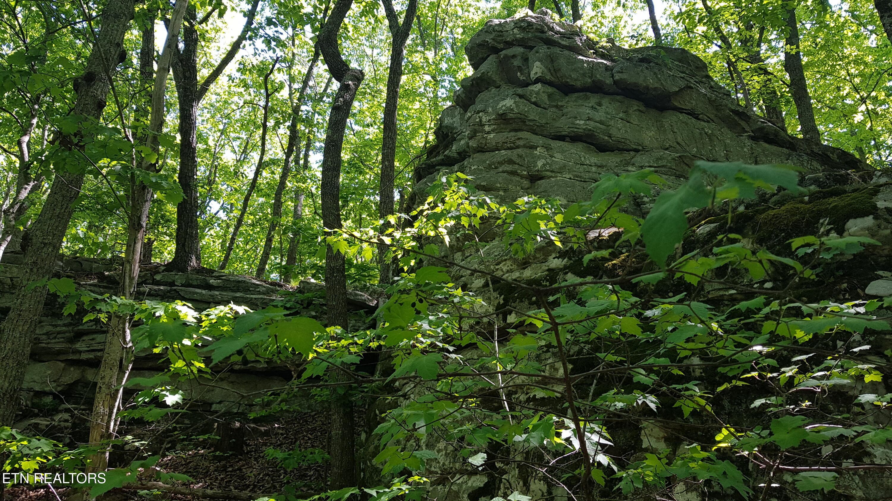 20260503_110257 - 751 W Bluff Rd, Pikeville, TN 37367