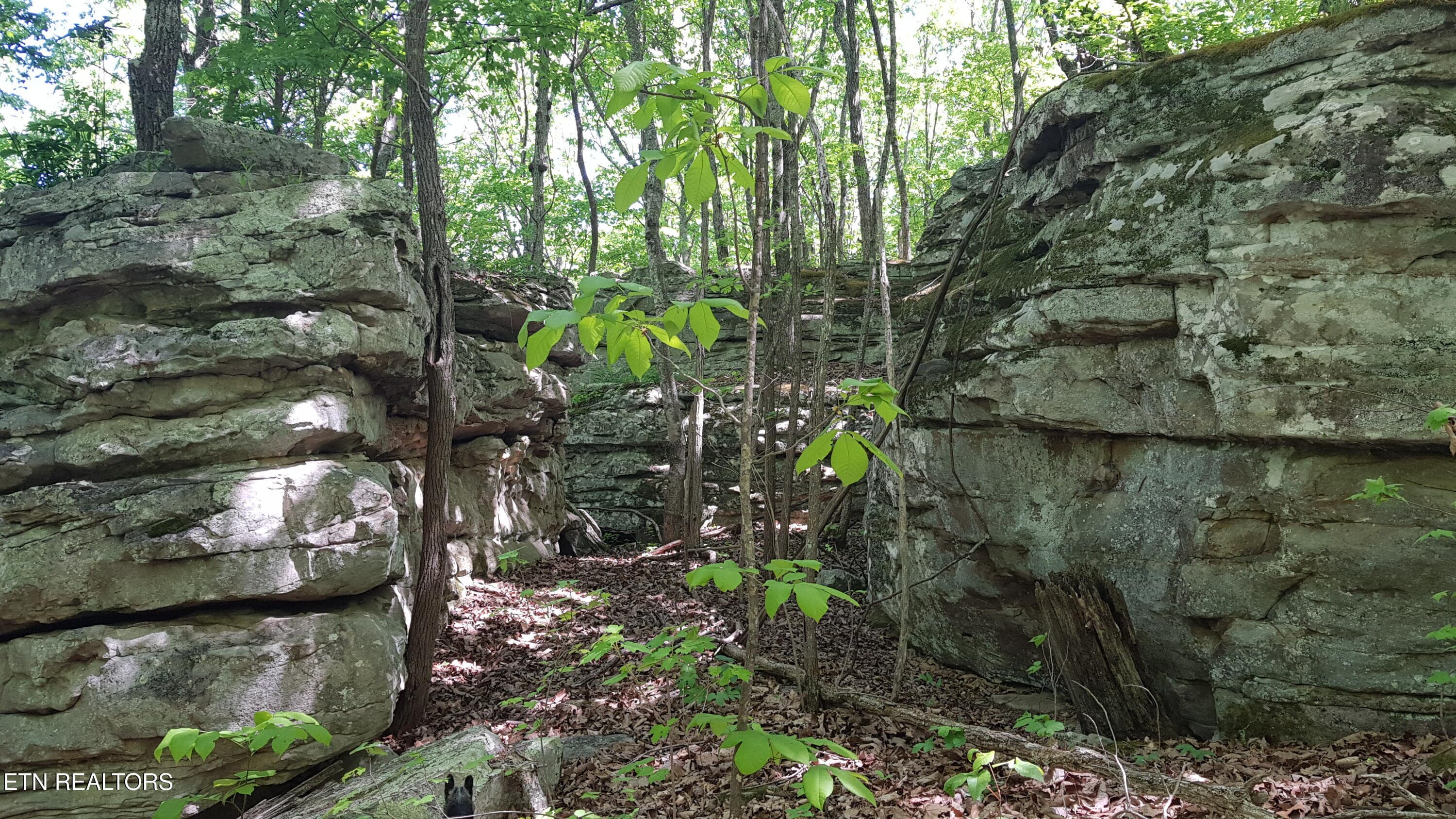 20260503_105911 - 751 W Bluff Rd, Pikeville, TN 37367