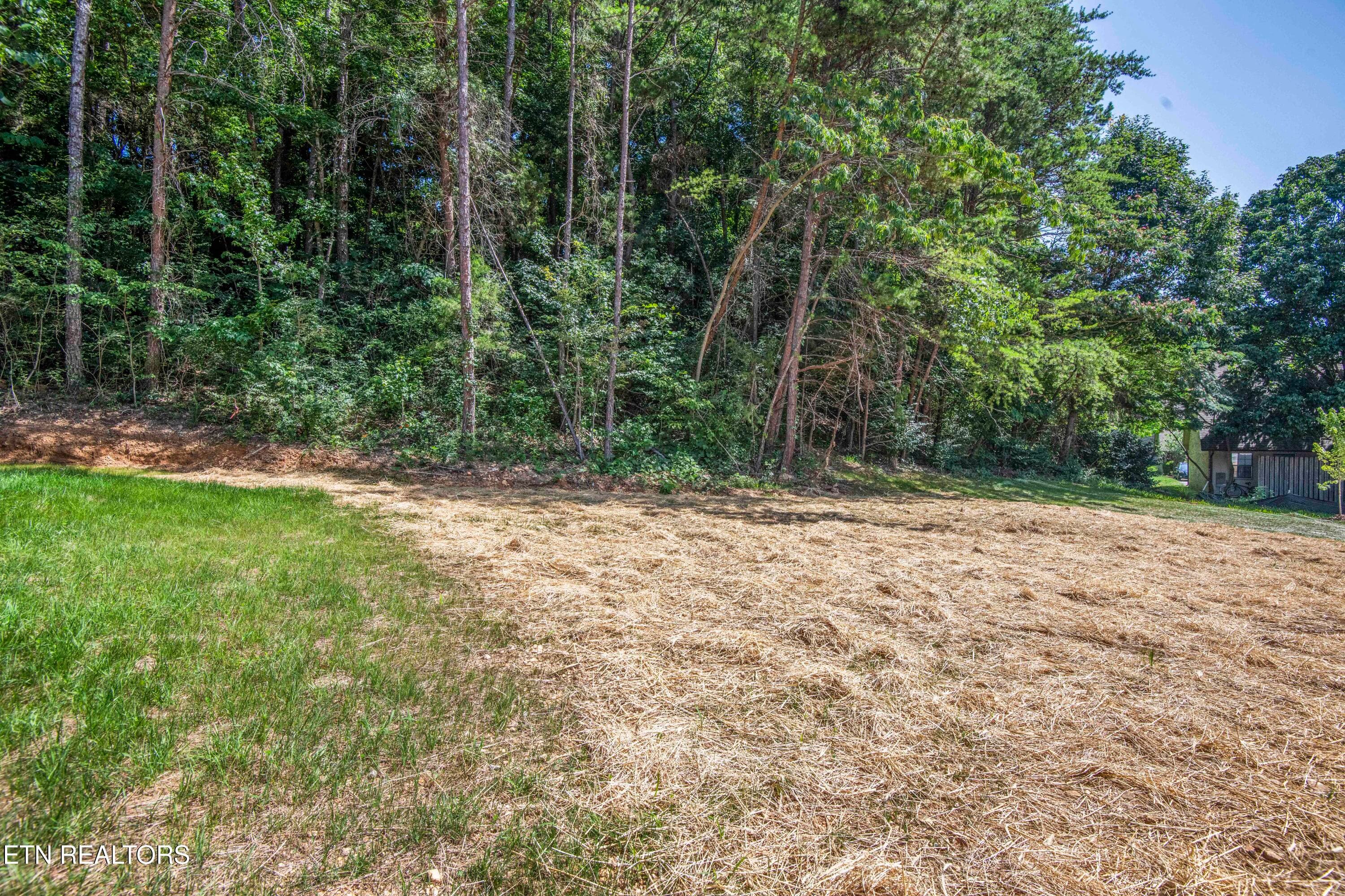 Back Yard - 2008 Woods-Smith Rd, Knoxville, TN 37921, Knoxville