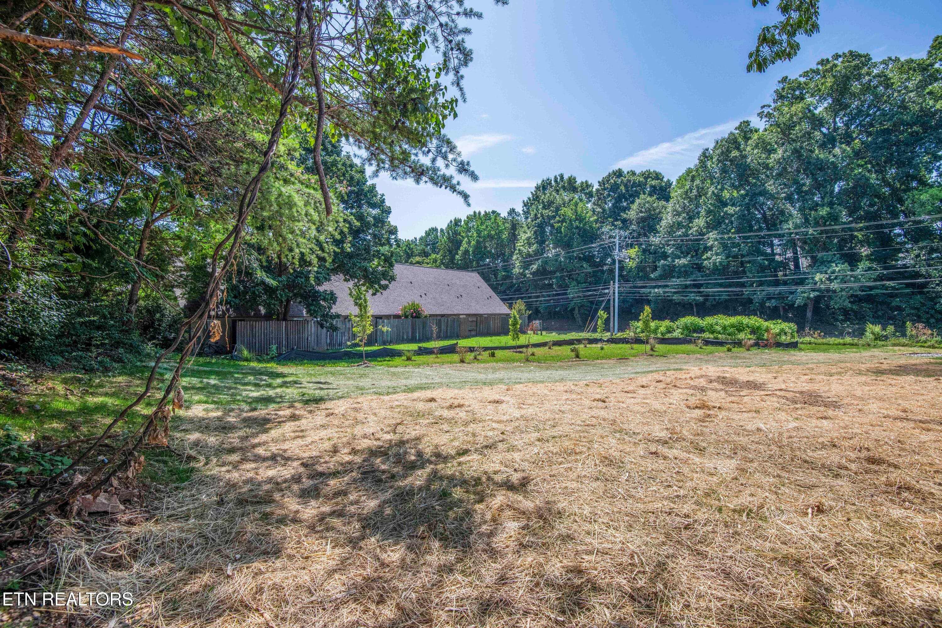 Huge Back Yard - 2008 Woods-Smith Rd, Knoxville, TN 37921, Knoxville