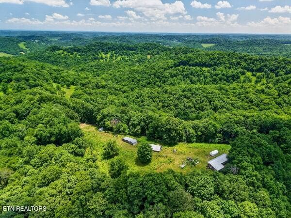 154647767-lr - 99 Judkins Lane, Hickman, TN 38567