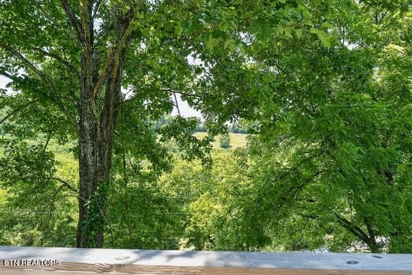 154647779-lr - 99 Judkins Lane, Hickman, TN 38567