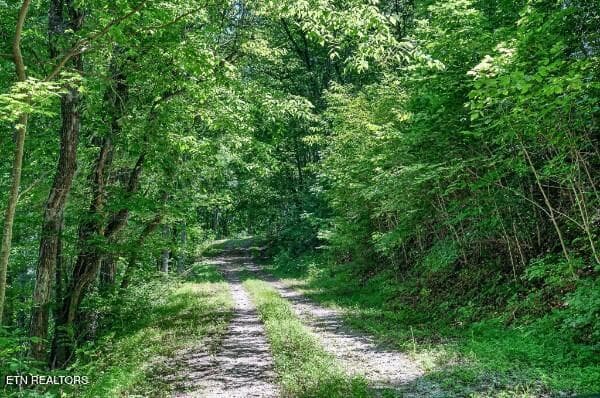 154647785-lr - 99 Judkins Lane, Hickman, TN 38567