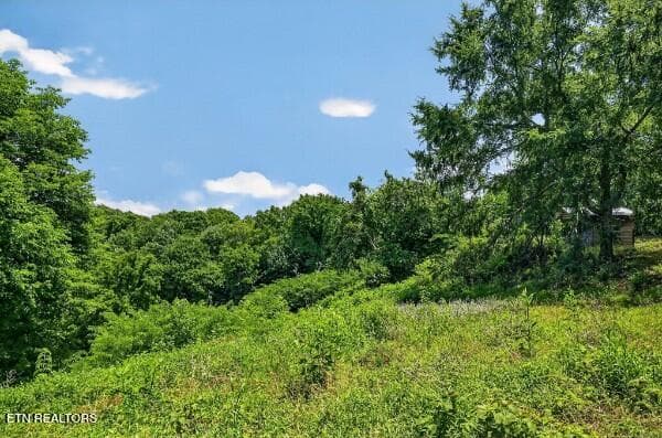 154647787-lr - 99 Judkins Lane, Hickman, TN 38567