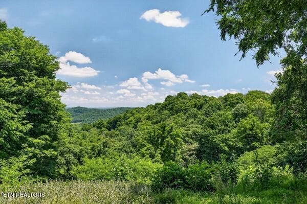 154647788-lr - 99 Judkins Lane, Hickman, TN 38567