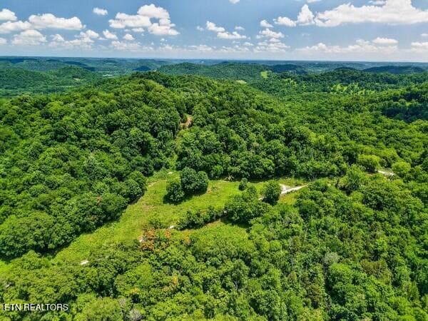 154647794-lr - 99 Judkins Lane, Hickman, TN 38567