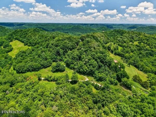 154647796-lr - 99 Judkins Lane, Hickman, TN 38567