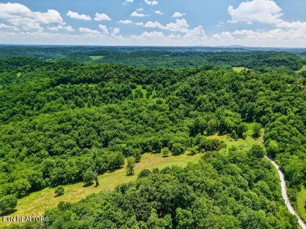 154647803-lr - 99 Judkins Lane, Hickman, TN 38567