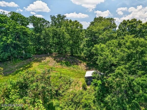 154647804-lr - 99 Judkins Lane, Hickman, TN 38567
