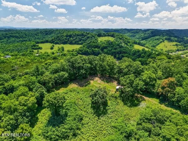 154647807-lr - 99 Judkins Lane, Hickman, TN 38567