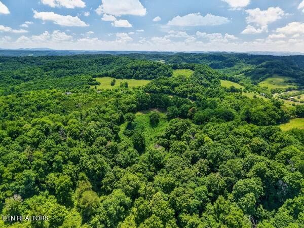 154647810-lr - 99 Judkins Lane, Hickman, TN 38567