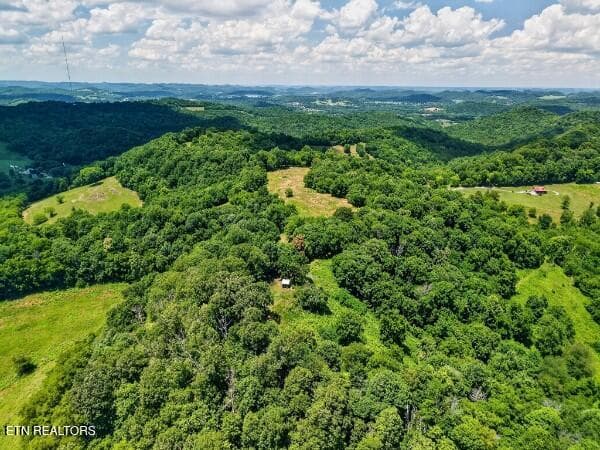 154647813-lr - 99 Judkins Lane, Hickman, TN 38567