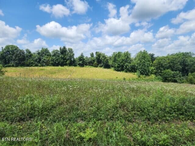 20260701_113715 - Lot 10 Rose Hill Ed Rd, Red Boiling Springs, TN 37150
