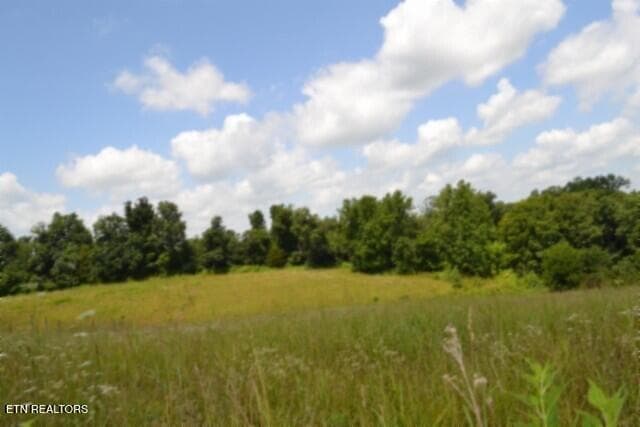 DSC_0009 - Lot 10 Rose Hill Ed Rd, Red Boiling Springs, TN 37150