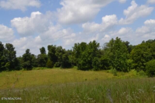 DSC_0010 - Lot 10 Rose Hill Ed Rd, Red Boiling Springs, TN 37150