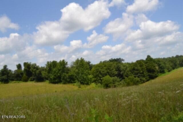 DSC_0011 - Lot 10 Rose Hill Ed Rd, Red Boiling Springs, TN 37150