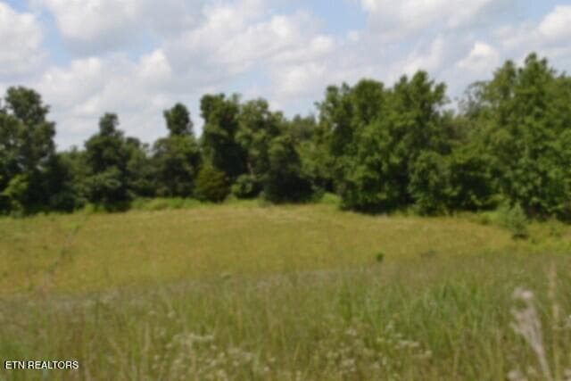 DSC_0012 - Lot 10 Rose Hill Ed Rd, Red Boiling Springs, TN 37150