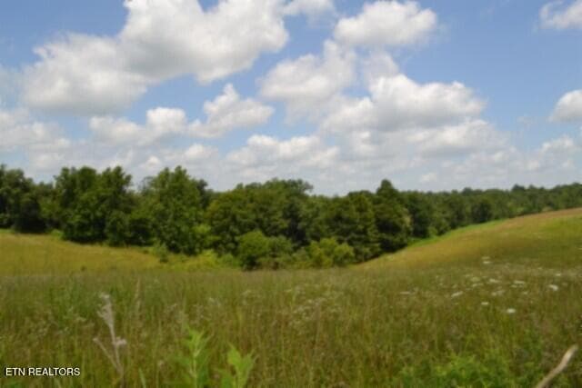 DSC_0013 - Lot 10 Rose Hill Ed Rd, Red Boiling Springs, TN 37150
