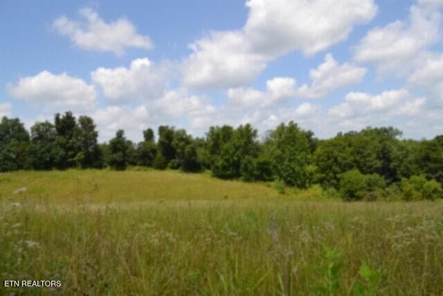 DSC_0014 - Lot 10 Rose Hill Ed Rd, Red Boiling Springs, TN 37150