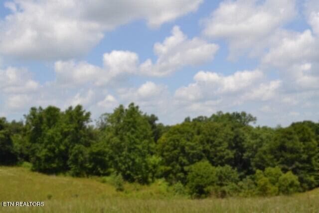 DSC_0015 - Lot 10 Rose Hill Ed Rd, Red Boiling Springs, TN 37150