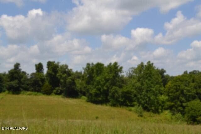 DSC_0016 - Lot 10 Rose Hill Ed Rd, Red Boiling Springs, TN 37150