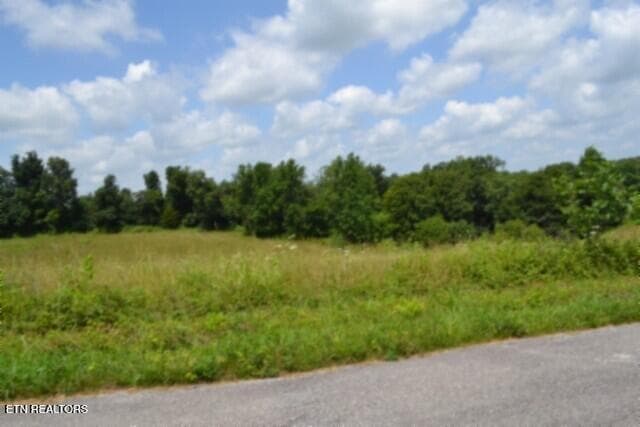 DSC_0018 - Lot 10 Rose Hill Ed Rd, Red Boiling Springs, TN 37150