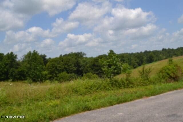 DSC_0020 - Lot 10 Rose Hill Ed Rd, Red Boiling Springs, TN 37150