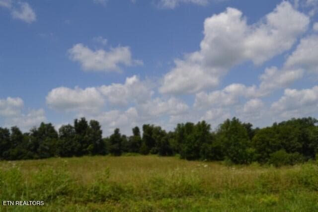 DSC_0021 - Lot 10 Rose Hill Ed Rd, Red Boiling Springs, TN 37150