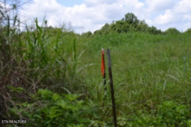 DSC_0024 - Lot 10 Rose Hill Ed Rd, Red Boiling Springs, TN 37150