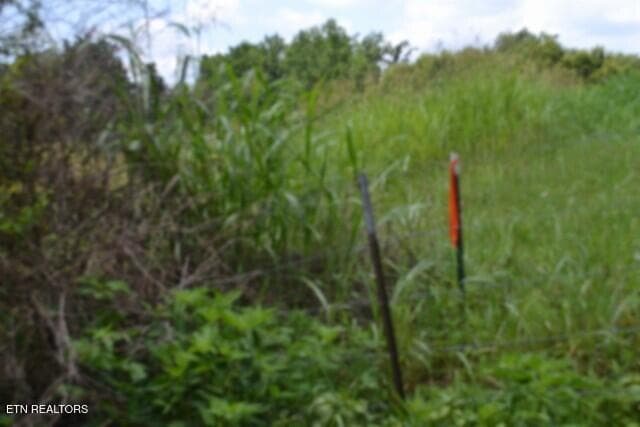DSC_0025 - Lot 10 Rose Hill Ed Rd, Red Boiling Springs, TN 37150