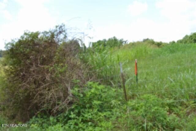 DSC_0026 - Lot 10 Rose Hill Ed Rd, Red Boiling Springs, TN 37150