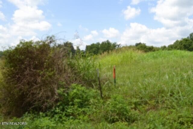 DSC_0027 - Lot 10 Rose Hill Ed Rd, Red Boiling Springs, TN 37150
