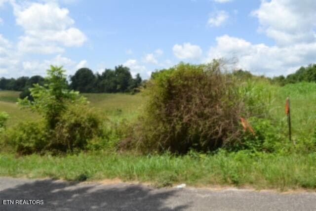 DSC_0029 - Lot 10 Rose Hill Ed Rd, Red Boiling Springs, TN 37150