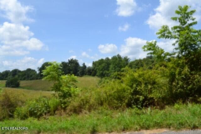 DSC_0031 - Lot 10 Rose Hill Ed Rd, Red Boiling Springs, TN 37150