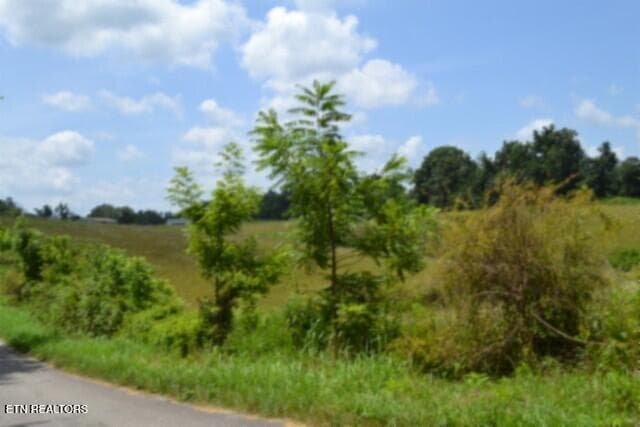 DSC_0032 - Lot 10 Rose Hill Ed Rd, Red Boiling Springs, TN 37150