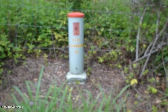 INTERNET - FIBER OPTICS BOX - Lot 10 Rose Hill Ed Rd, Red Boiling Springs, TN 37150
